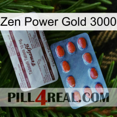 Zen Power Gold 3000 36